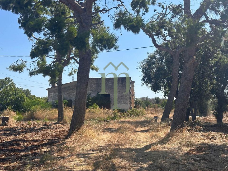Ruinere i Carovigno, Brindisi - foto 1
